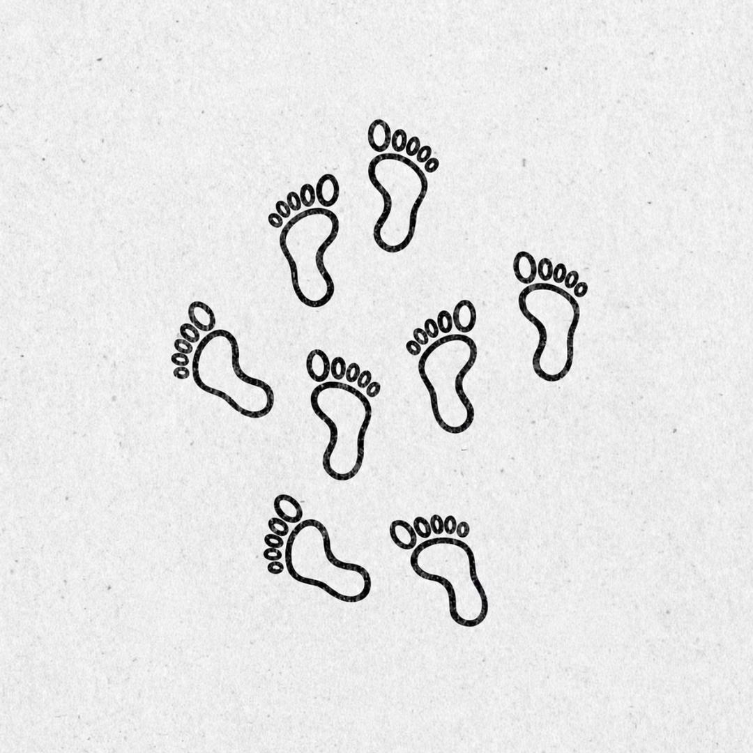 Embosador de libros